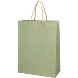 DELUXEKASSE GRÖN (10X6,5X12 cm) DELUXEKASSE GRÖN (10X6,5X12 cm)